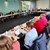 Sitzung des Sozialausschusses am 18.10.2023