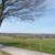 Neuanlage Obstbaumwiese Foto 2