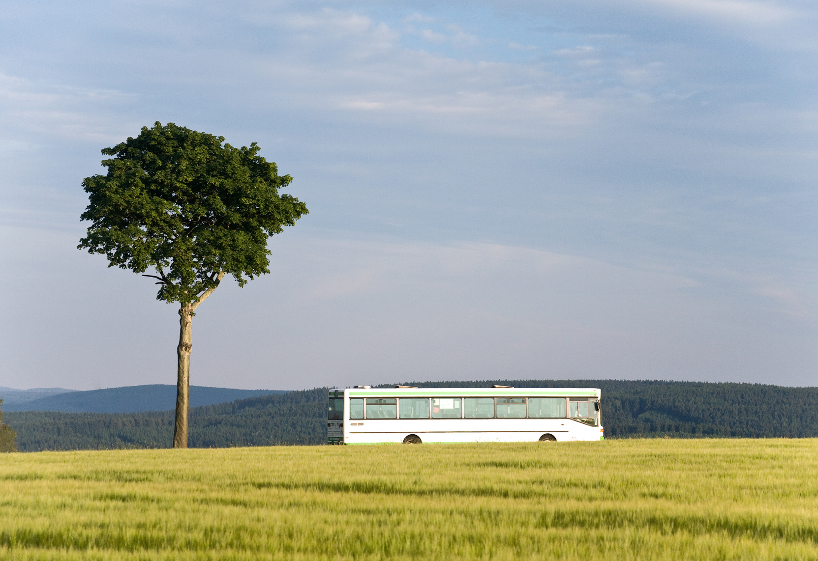 Fotolia - Bus