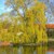 Kreis Heinsberg: Bellinghoven Kreis Heinsberg: Bellinghoven